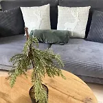 Harmony House -appartement Διαμέρισμα