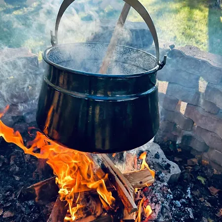 Apartamento Harmony House -appartement *