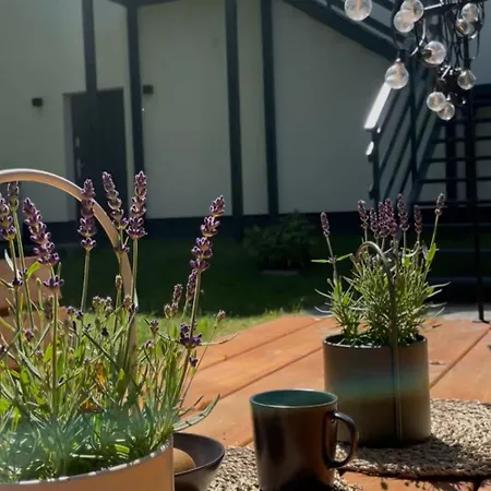 Apartment Harmony House -appartement *