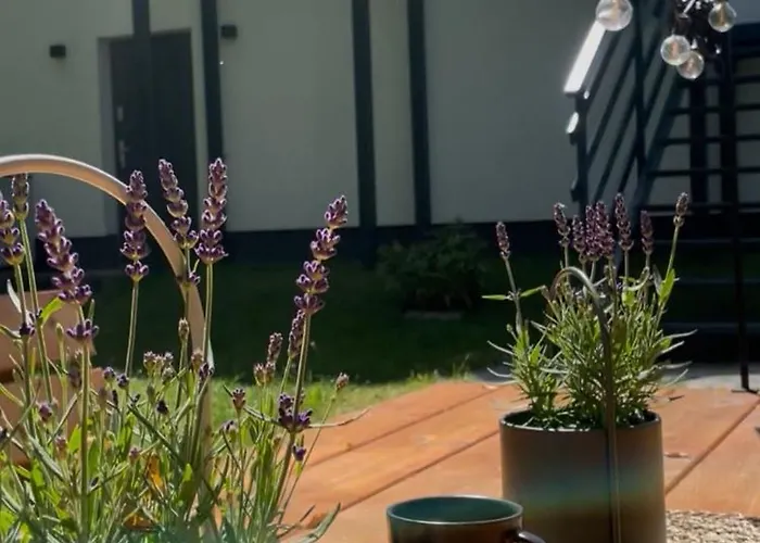 Apartament Harmony House -appartement *